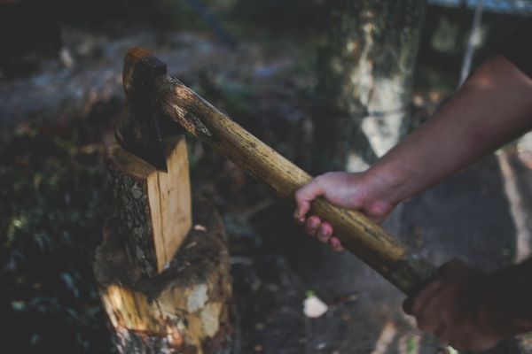 tree felling