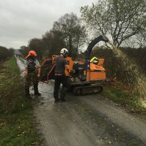 wood chipping